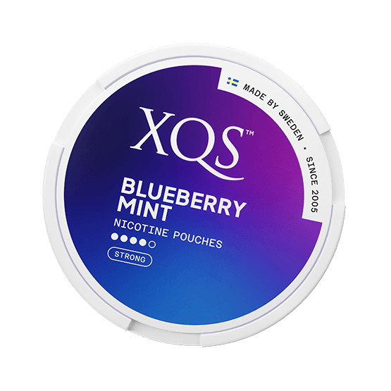XQS Blueberry Mint Strong