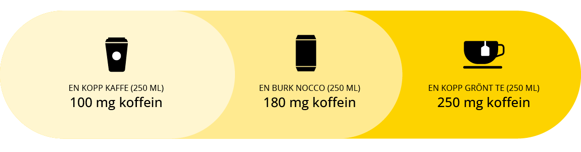 Nikotin vs Koffein